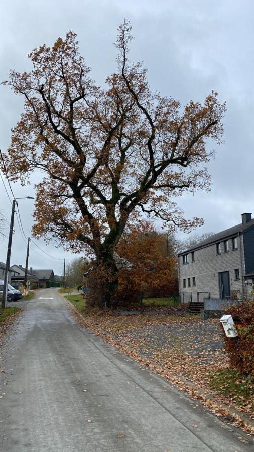 Le Gite Du Vieux Chene Bertogne Zewnętrze zdjęcie